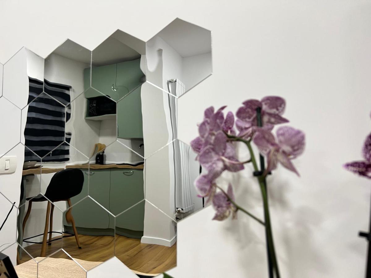 Denis Studio Turda Extérieur photo